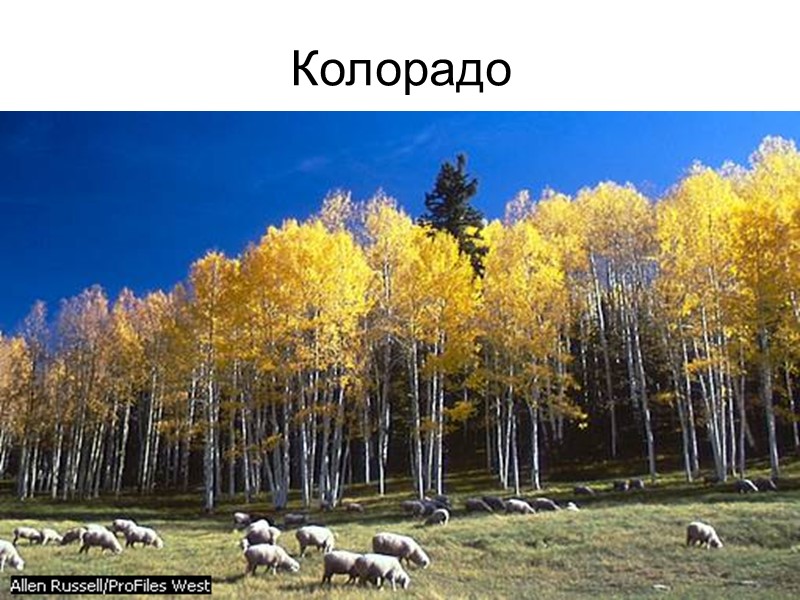 Колорадо